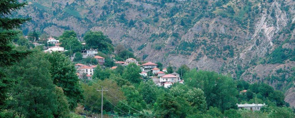 Lefteri'S & Loukia'S Guesthouse Neraida (Trikala) Exterior foto